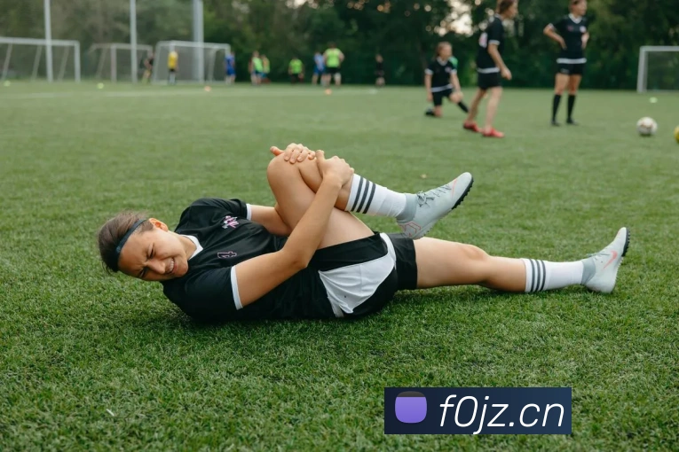 App Interface Preview