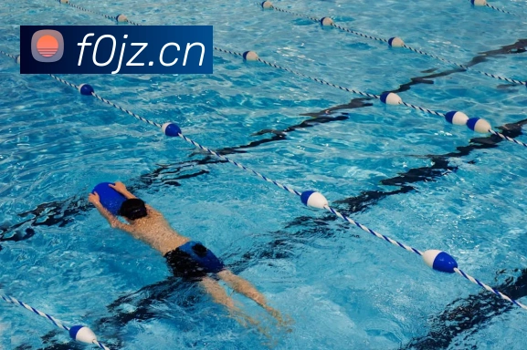 开云手机在线登录官网APP 封面图